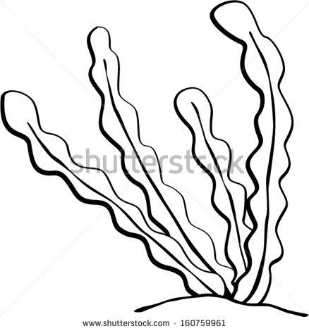 438x470 Coral Drawing Go Back Gt Gallery For Gt How To Draw Seaweed - Coral Drawing