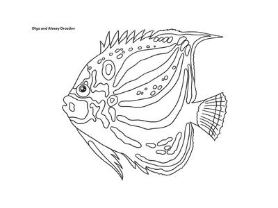 400x300 Coral Fish Giclee Print - Coral Line Drawing