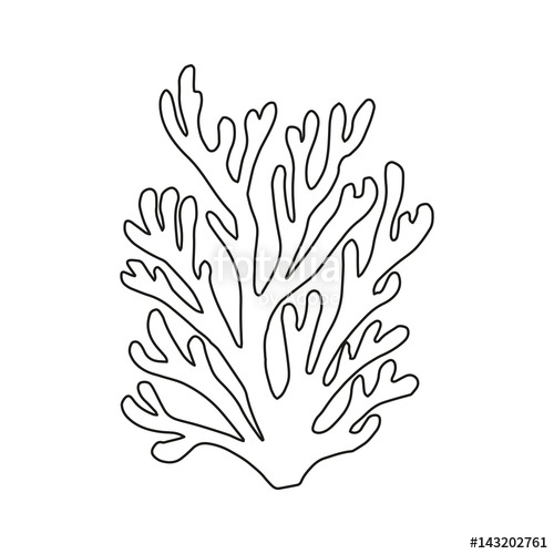 Coral Line Drawing at PaintingValley.com | Explore collection of Coral ...