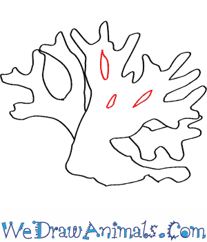 300x350 How To Draw A Fire Coral - Coral Line Drawing