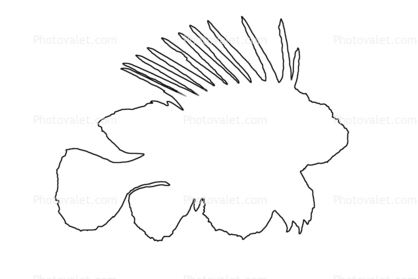 418x279 Black Volitan Lionfish Outline, Line Drawing - Coral Line Drawing