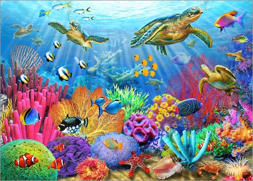 500x357 coral reef drawing - Coral Reef Drawing
