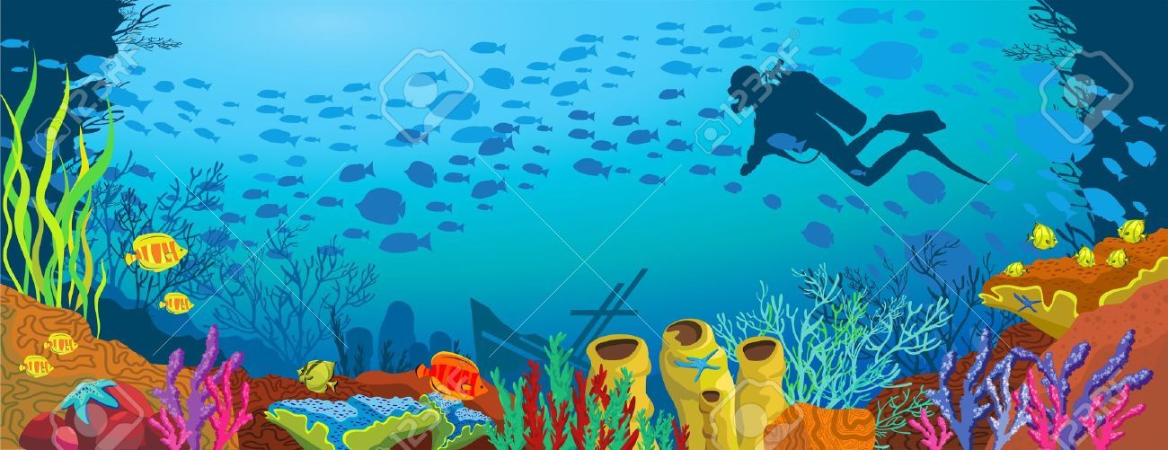 1300x501 Huge Collection Of 'coral Reef Drawing With Color' Download More - Coral Reef Drawing