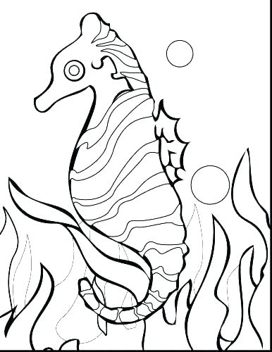 386x500 Coloring Pages Coral Reefs Reef To Print Free Printable Excelgeo - Coral Reef Drawing With Color