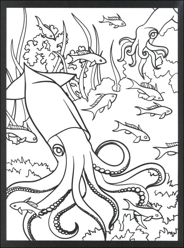 592x800 crafty ideas simple coral reef coloring pages - Coral Reef Drawing With Color