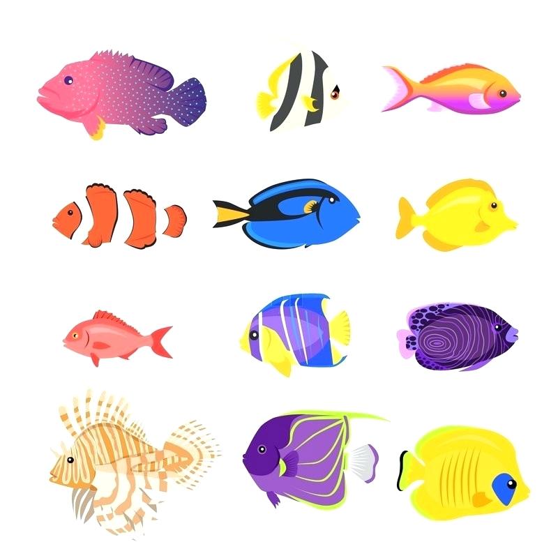 800x800 fish colored pencils drawing fish with color pencils fish color - Coral Reef Drawing With Color