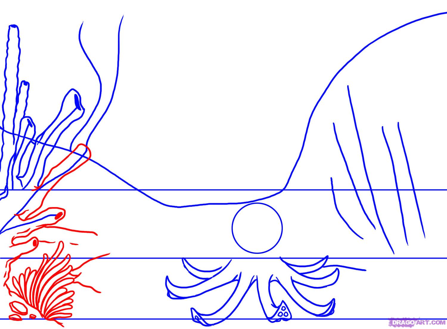 1500x1103 How To Draw A Coral Reef, Step - Coral Reef Drawing With Color