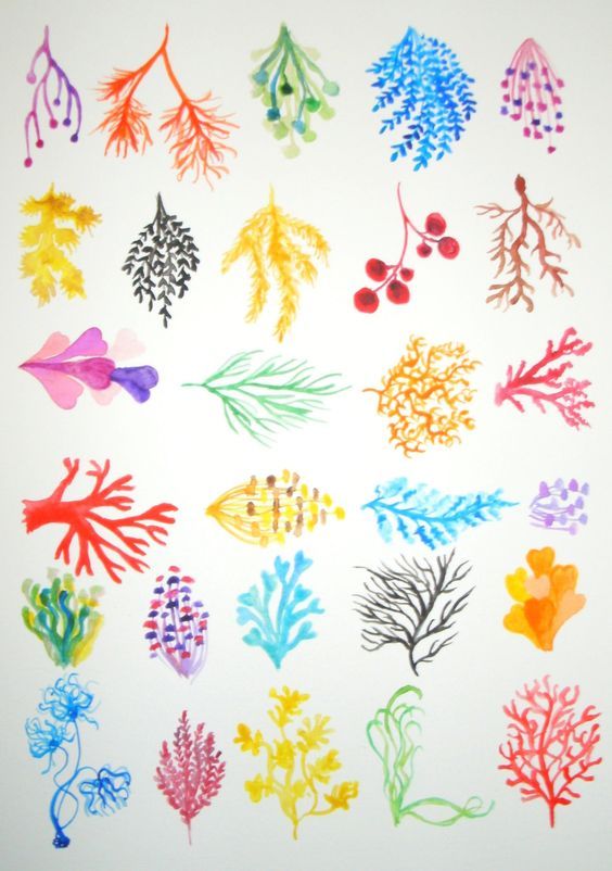 564x802 Reef Collection Coral Reef Original Watercolor - Coral Reef Drawing With Color
