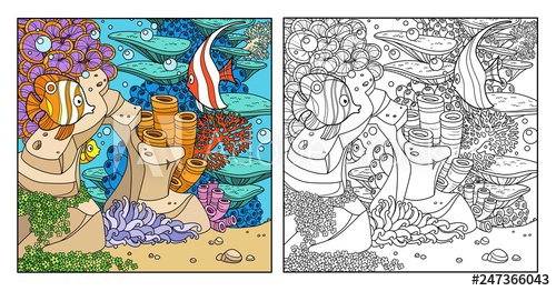 500x262 Underwater World With Fishes On Coral Reef And Anemones Color - Coral Reef Drawing With Color