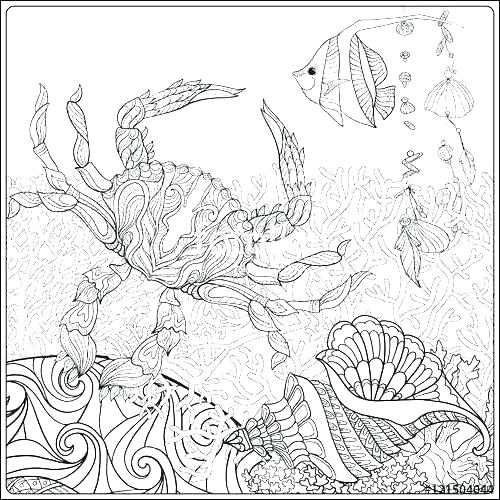 500x500 Coral Reefs Coloring Pages Fixyariders Club - Coral Reef Drawing With Color