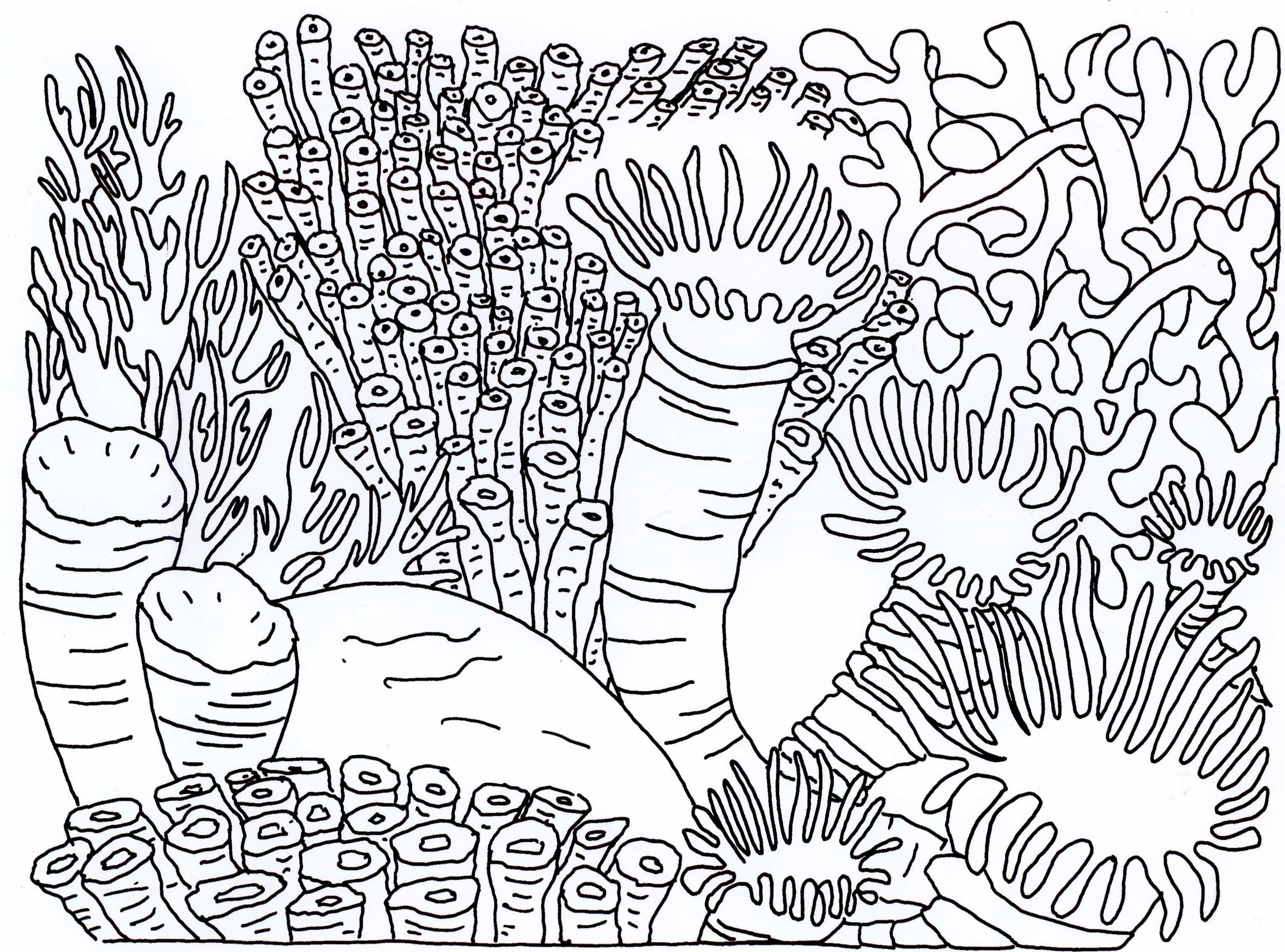 3049x2261 Awesome Ocean Coral Coloring Pages Plants Adults Colors Reef - Coral Reef Drawing With Color
