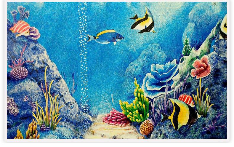 Coral Reef Drawing With Color at