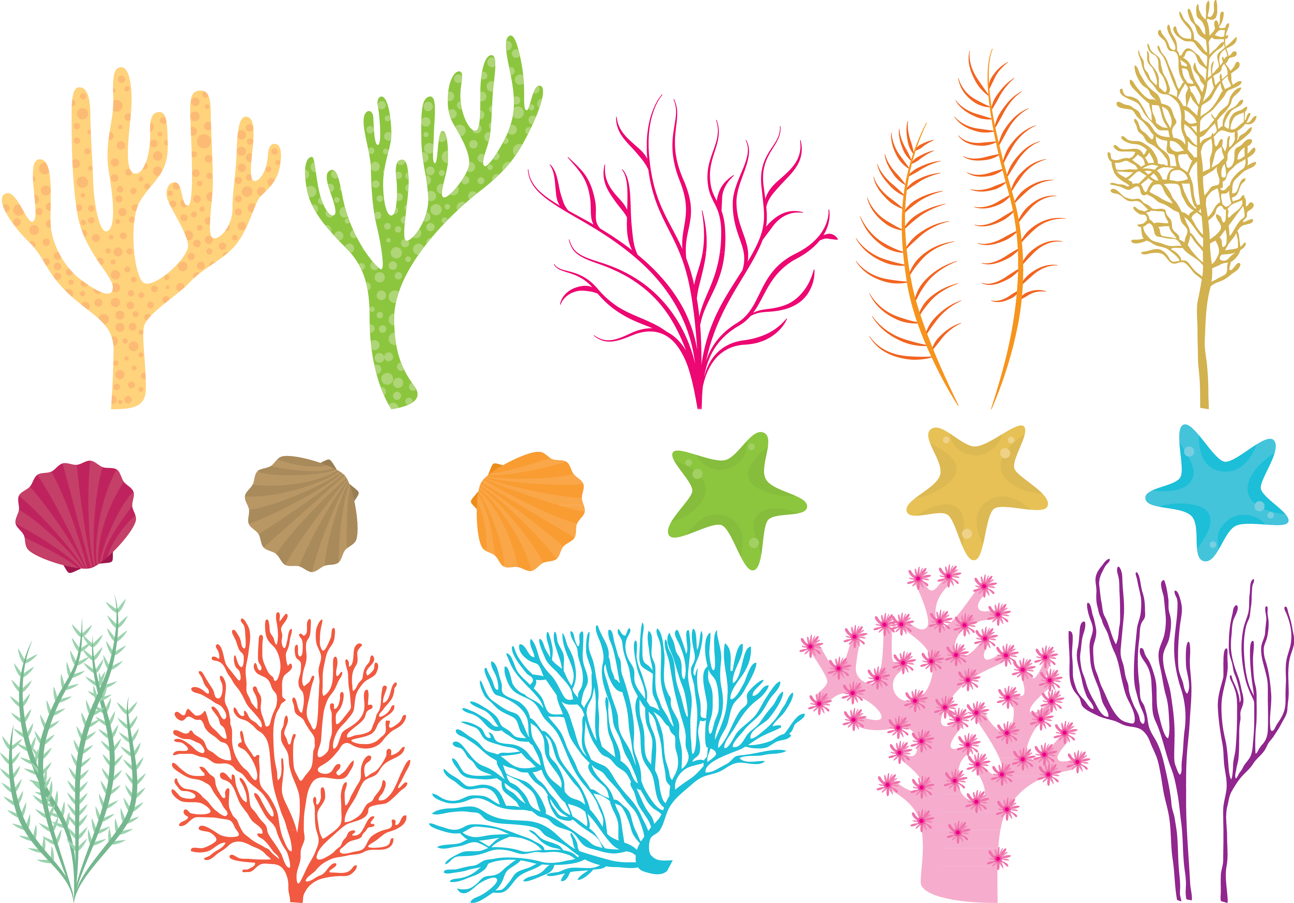 Coral Reef Drawing With Color at Explore