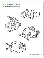 150x200 Coral Reef Fishes Template, Available In Color As Well I'm Using - Coral Reef Fish Drawing