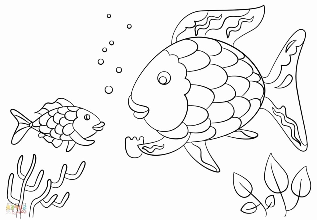 1024x711 great barrier reef fish coloring - Coral Reef Fish Drawing
