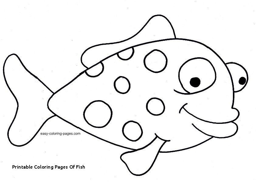 842x598 great barrier reef fish coloring pages best of coral coloring - Coral Reef Fish Drawing