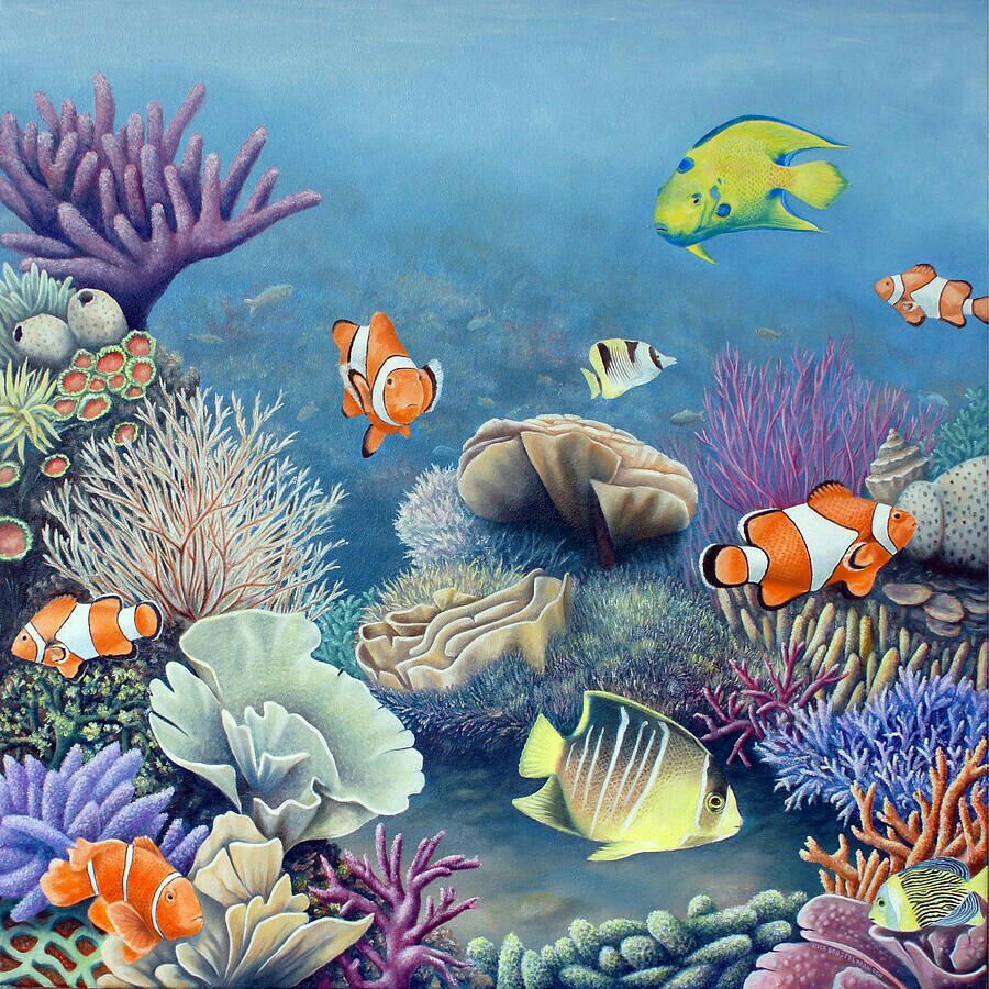 900x900 Akvaryum Resimleri Fun Things In Underwater Painting - Coral Reef Fish Drawing