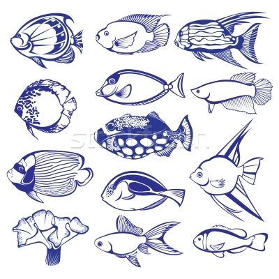 400x400 Fish Vector - Coral Reef Fish Drawing