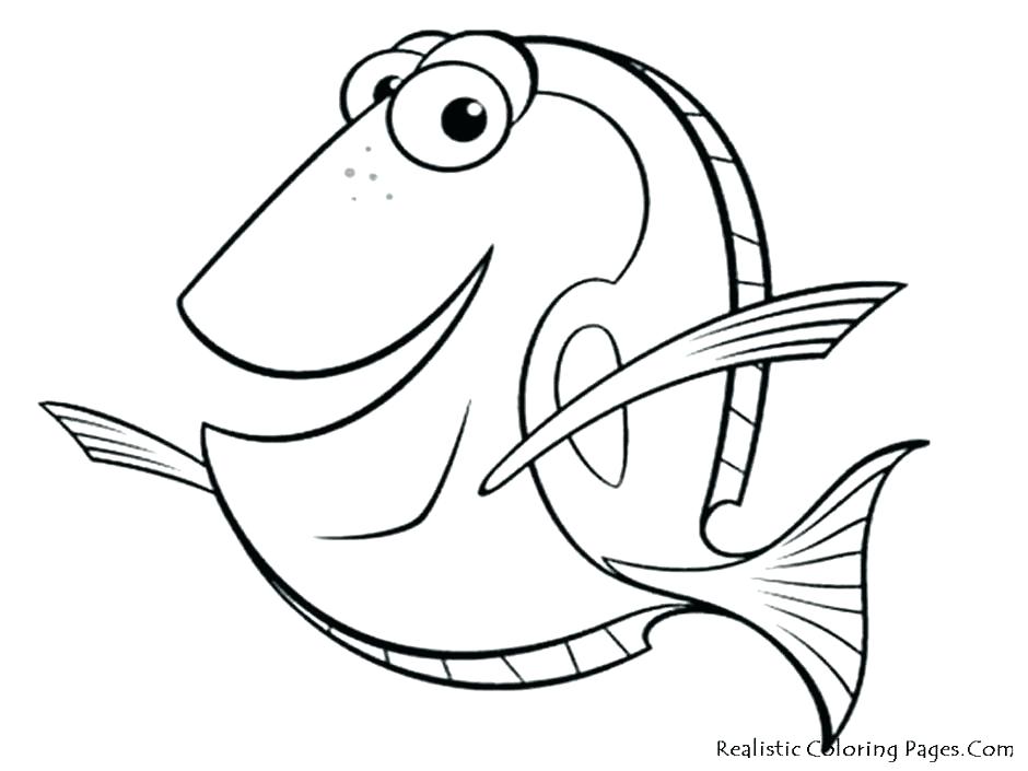 940x705 coral reef fish coloring pages swordfish between coral reef - Coral Reef Fish Drawing