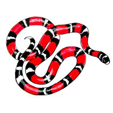 387x387 Coral Snake Drawing Drawing And Crafts In Snake Drawing - Coral Snake Drawing