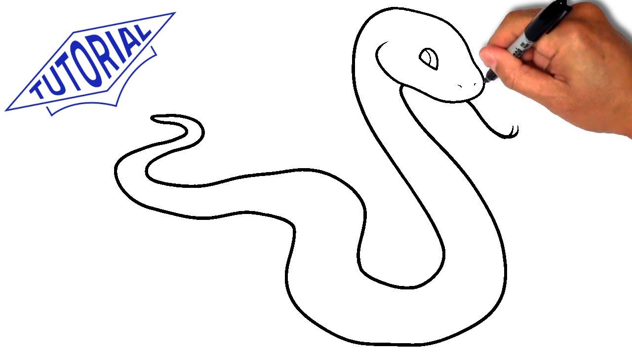 1280x720 How To Draw A Snake Easy Step - Coral Snake Drawing