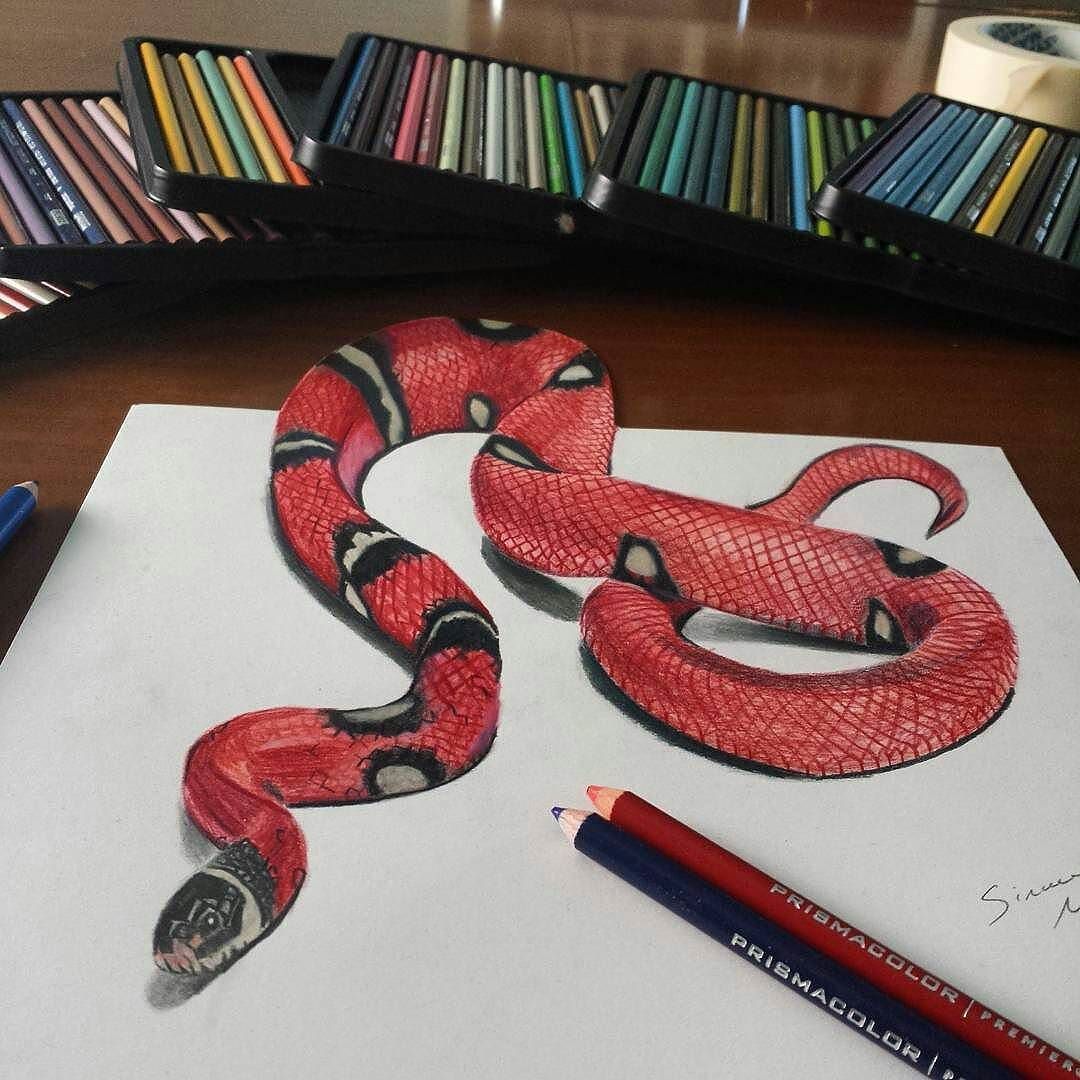 1080x1080 Repost From Draw Ciao! Coral Snake Drawing Share If You - Coral Snake Drawing