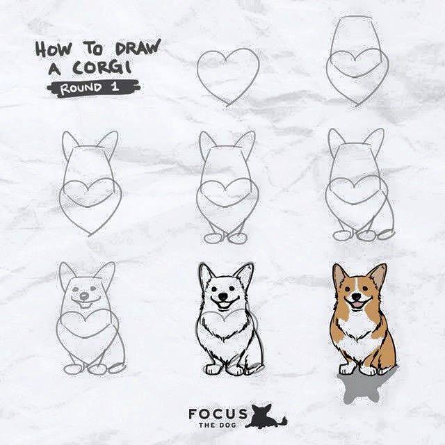 640x640 drawing a corgi starts with drawing a heart corgi - Corgi Drawing