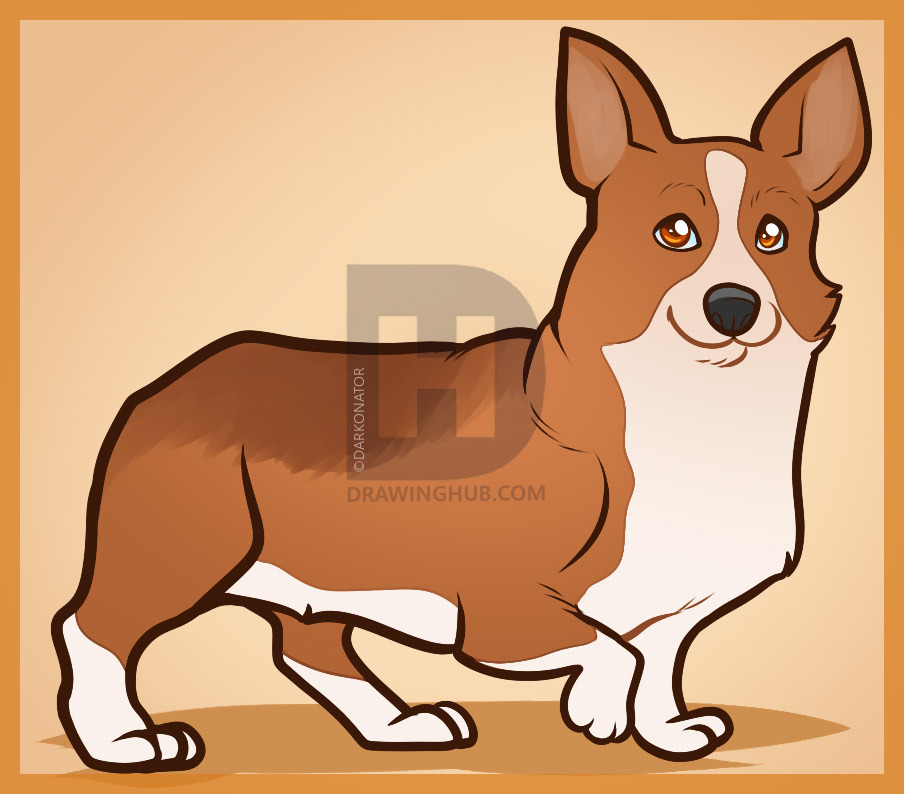 904x794 how to draw a corgi, corgi, step - Corgi Drawing