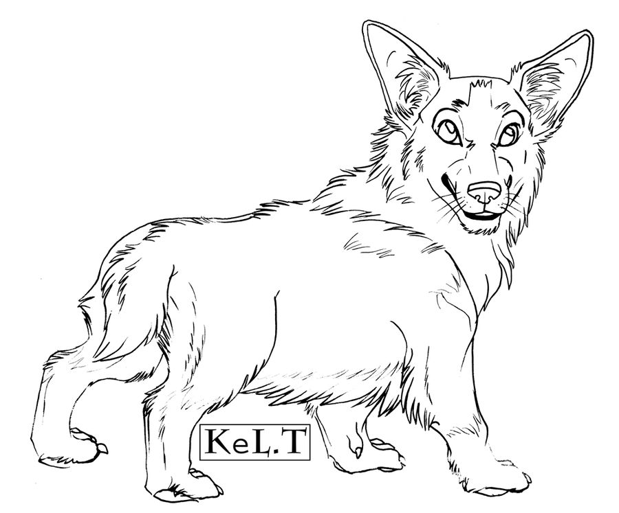 900x747 Pembroke Welsh Corgi Template - Corgi Line Drawing