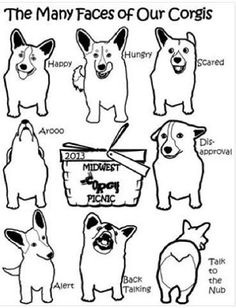 236x308 best corgis images cubs, corgi dog, cute puppies - Corgi Line Drawing