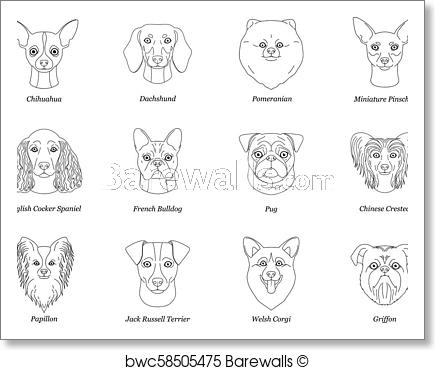 435x370 Set, Collection Of Isolated Black Outline Head Of Chihuahua - Corgi Line Drawing