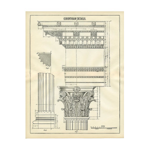 300x300 Architecture Detail Corinthian Columns Digital Art - Corinthian Column Drawing