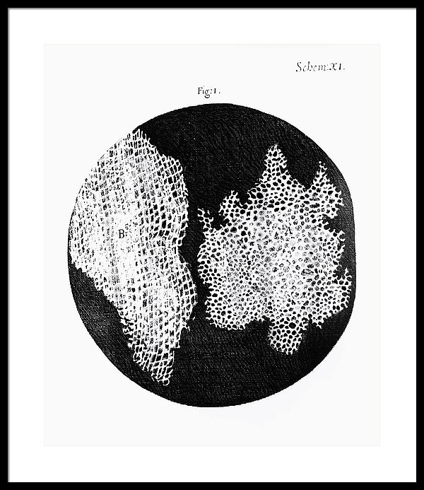 Cork Drawing at Explore collection of Cork Drawing