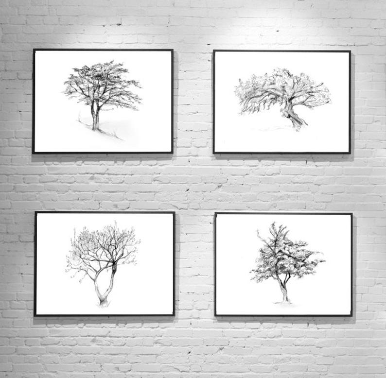 794x778 set of tree drawings giclee print cork oak magnolia etsy - Cork Drawing
