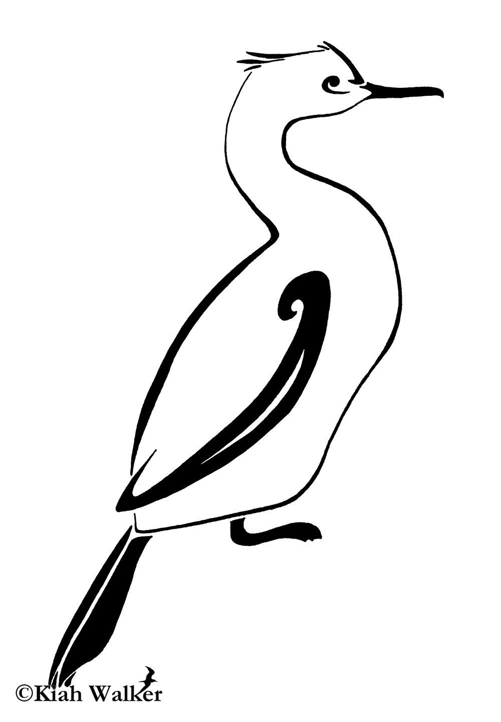 1000x1440 drawings tree frog ink - Cormorant Drawing