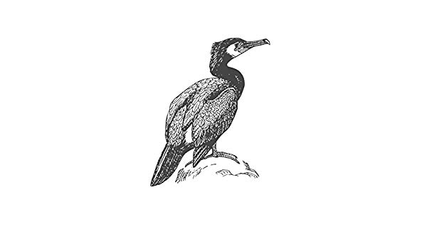 600x350 cormorant, pre inked animal rubber stamp - Cormorant Drawing