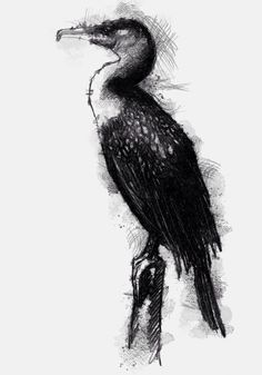 236x337 cormorant live so deep that everyday takes your breathe away - Cormorant Drawing