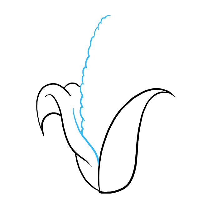 680x678 How To Draw A Corn Cob - Corn Cob Drawing