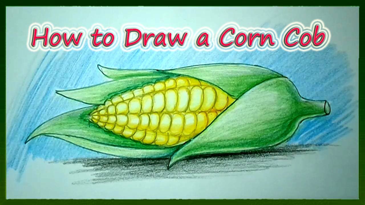 1280x720 How To Draw A Corn Cob Step - Corn Cob Drawing