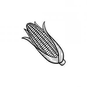 300x300 Stock Illustration Grilled Corn Cob Icon Simple Sohadacouri - Corn Cob Drawing