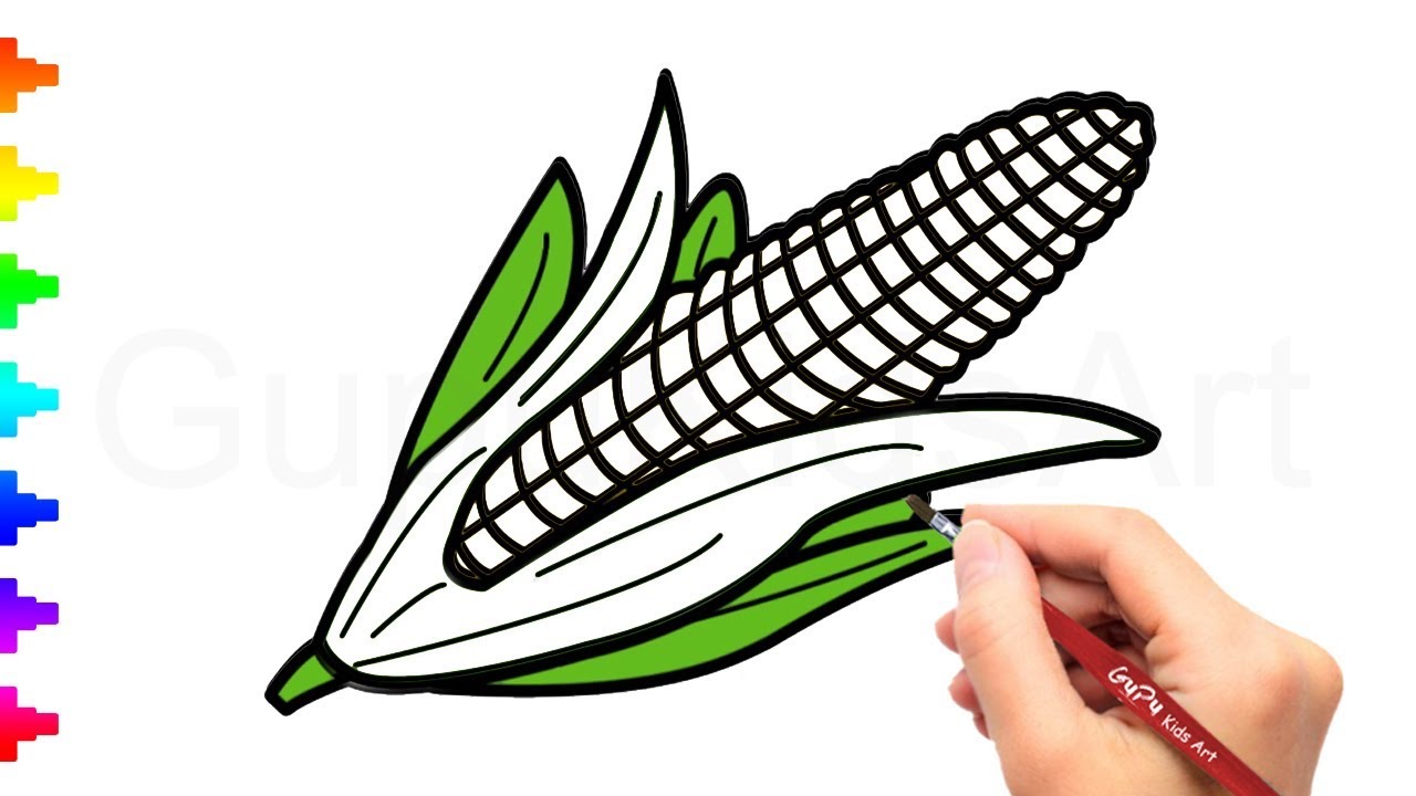 Corn Cob Drawing at PaintingValley.com | Explore collection of Corn Cob ...