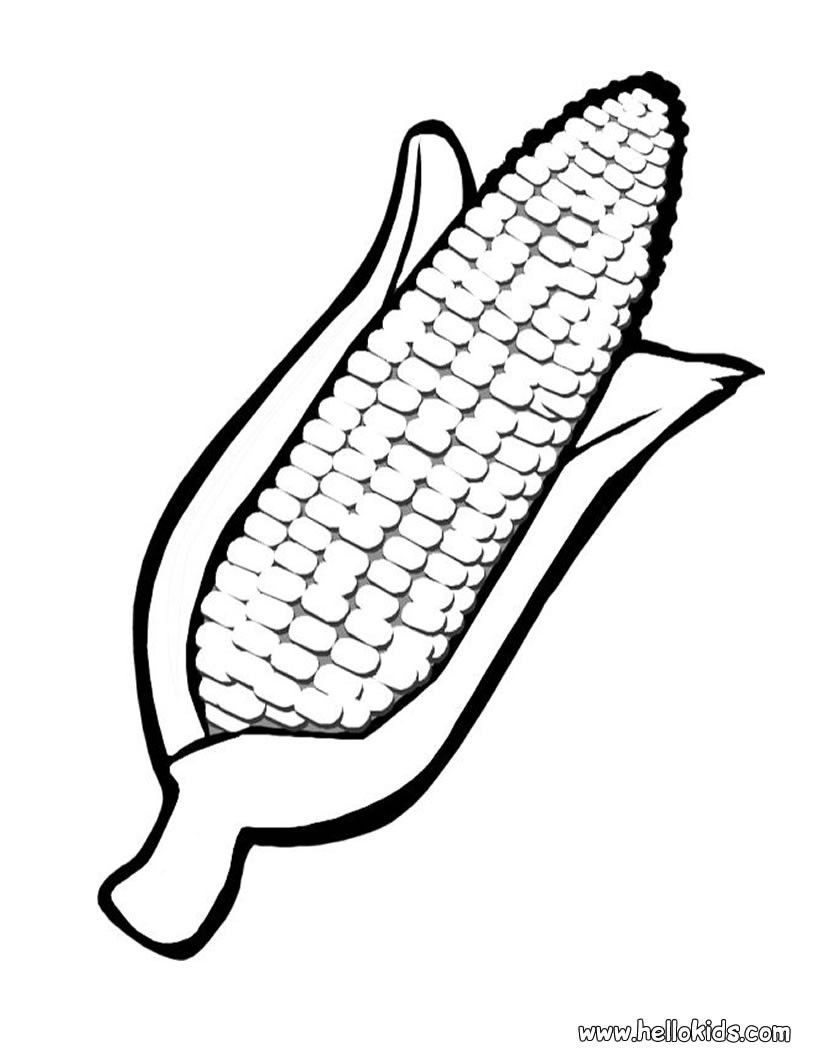Corn Drawing