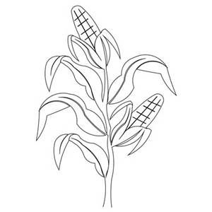 300x300 Corn Stalk Drawing - Corn Drawing