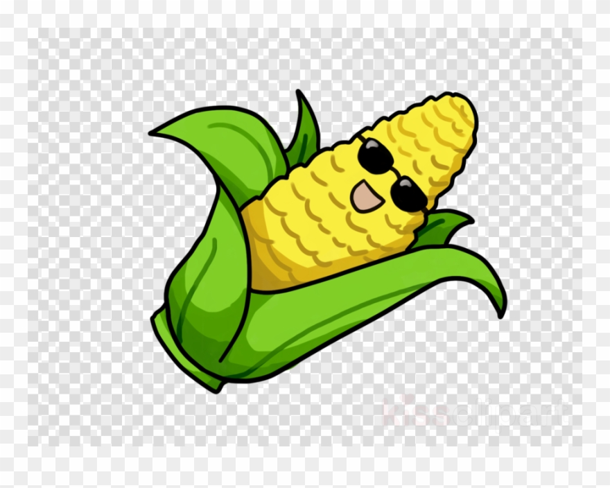 880x704 download corn drawing transparent clipart corn - Corn Drawing