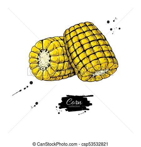 450x470 huge collection of 'corn cob drawing' download more than - Corn Drawing