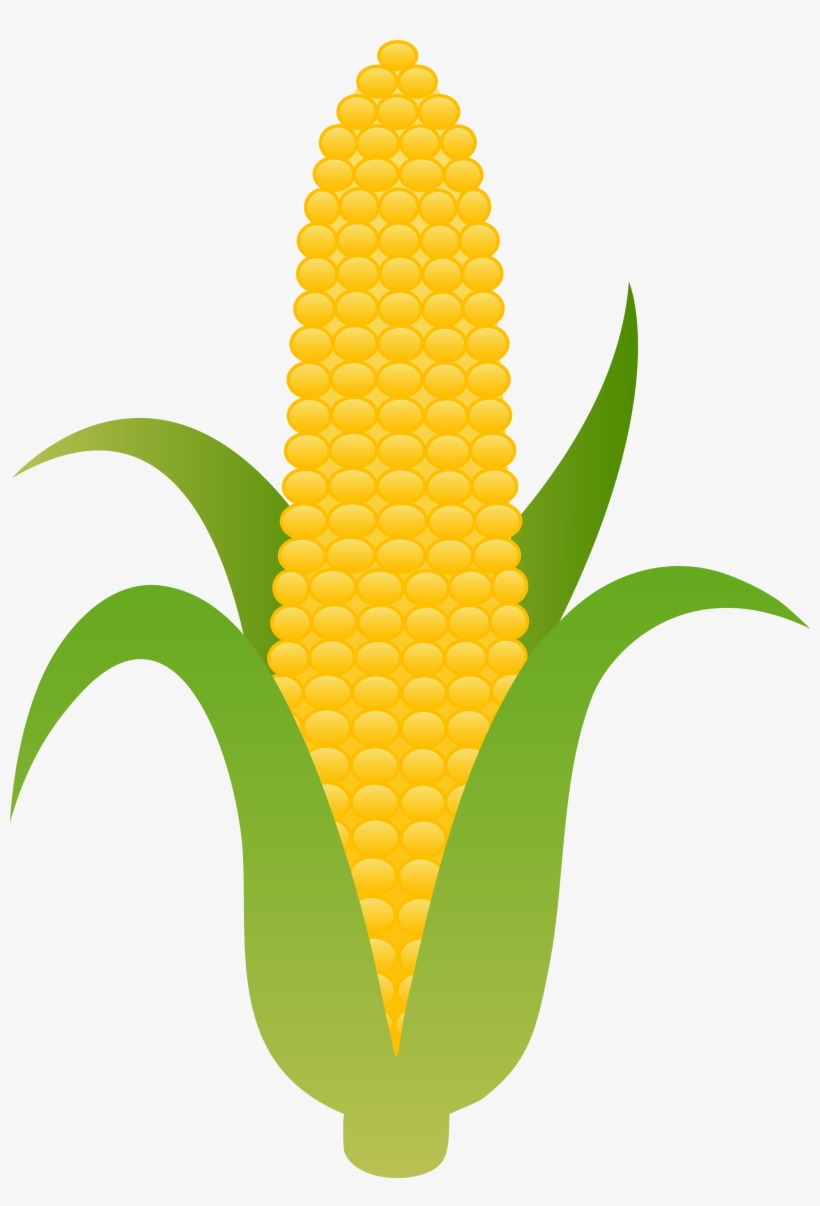 820x1206 Sweet Corn Drawing - Corn Drawing