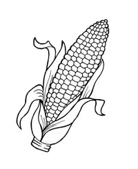 200x244 Corn Coloring - Corn Drawing