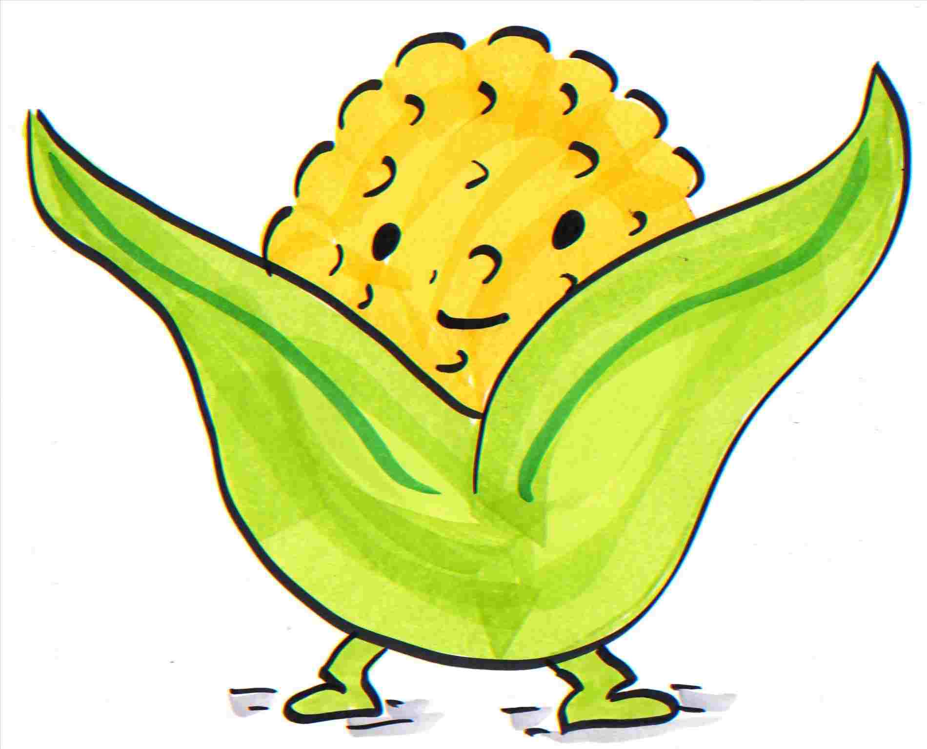 1900x1535 corn drawing outline style menu simple illustration stock - Corn Drawing