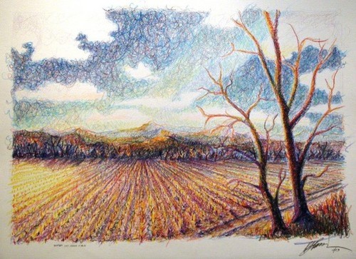 500x363 Winter Corn Field - Corn Field Drawing