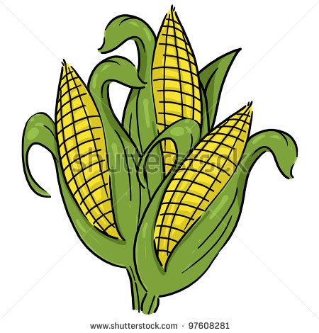 450x470 How To Draw A Corn Field - Corn Field Drawing